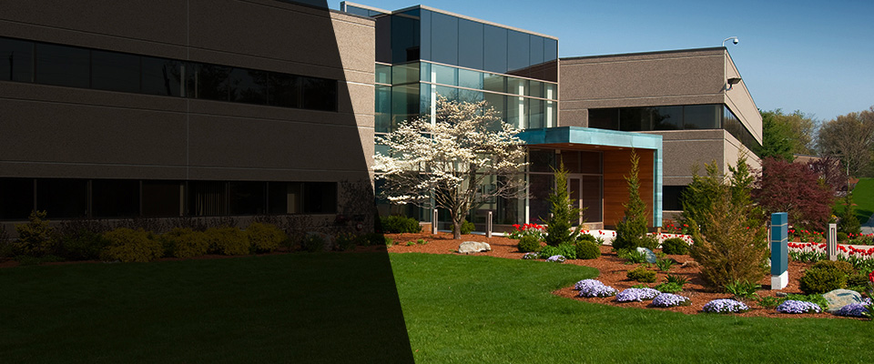 Tulia Landscapers