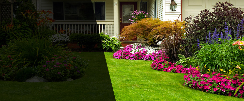 Tulia Landscapers