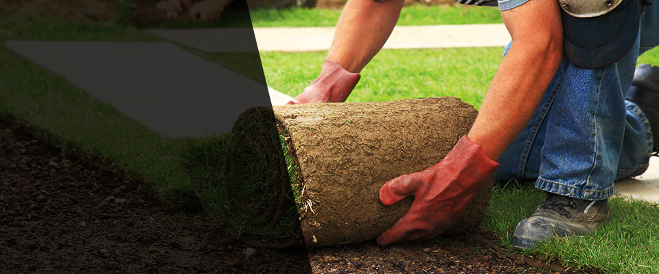 Tulia Landscapers